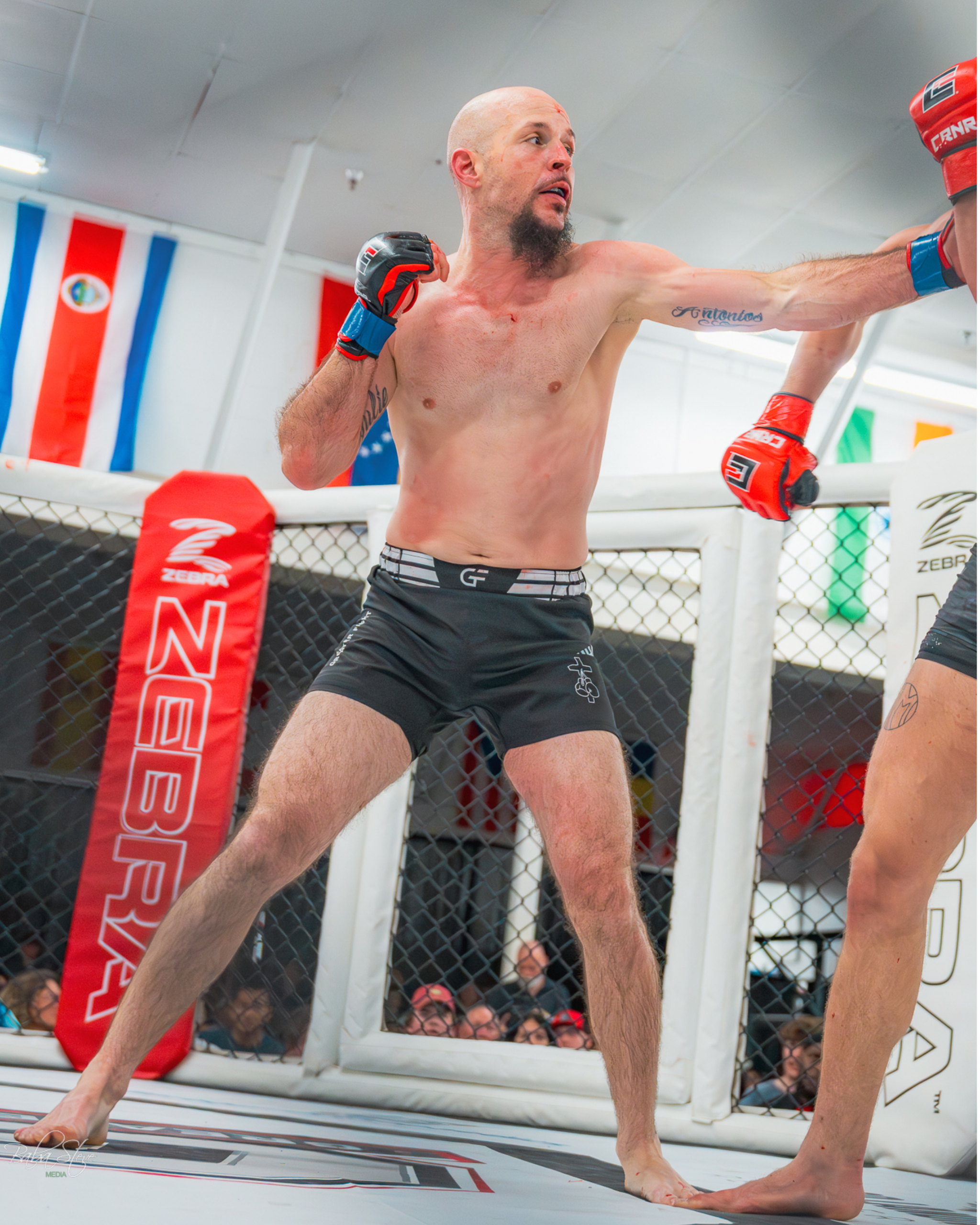 Premium MMA shorts