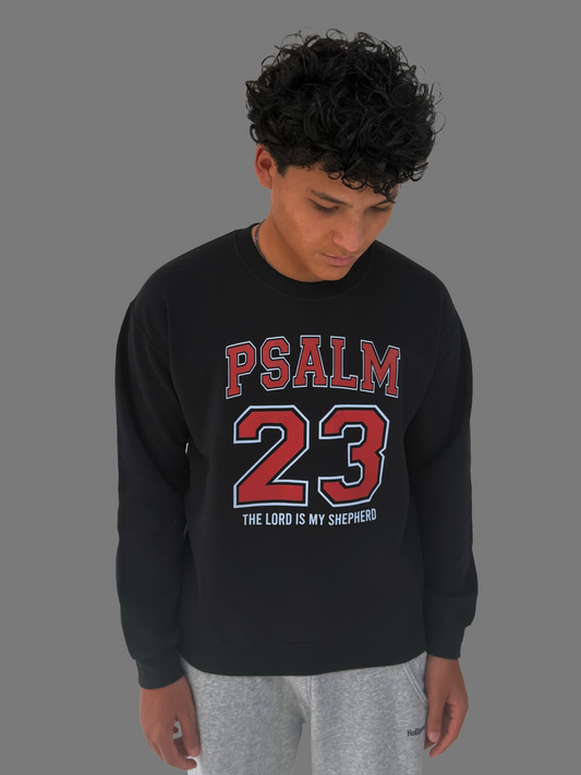 Psalm 23 sweatshirt